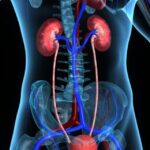 photo_6269405565347892646_x