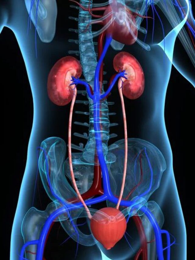 शरीर के अंग कब कमजोर हो जाते हैं?